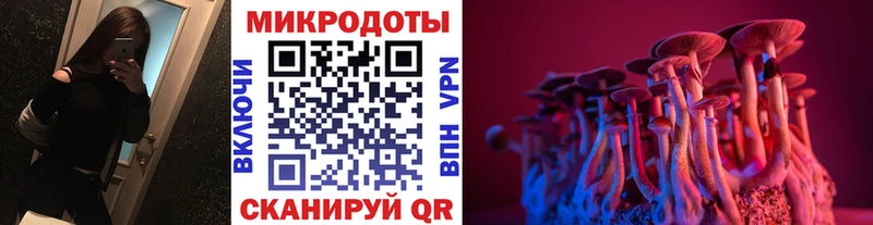 Галлюциногенные грибы Magic Shrooms  где найти наркотики  Богородск 