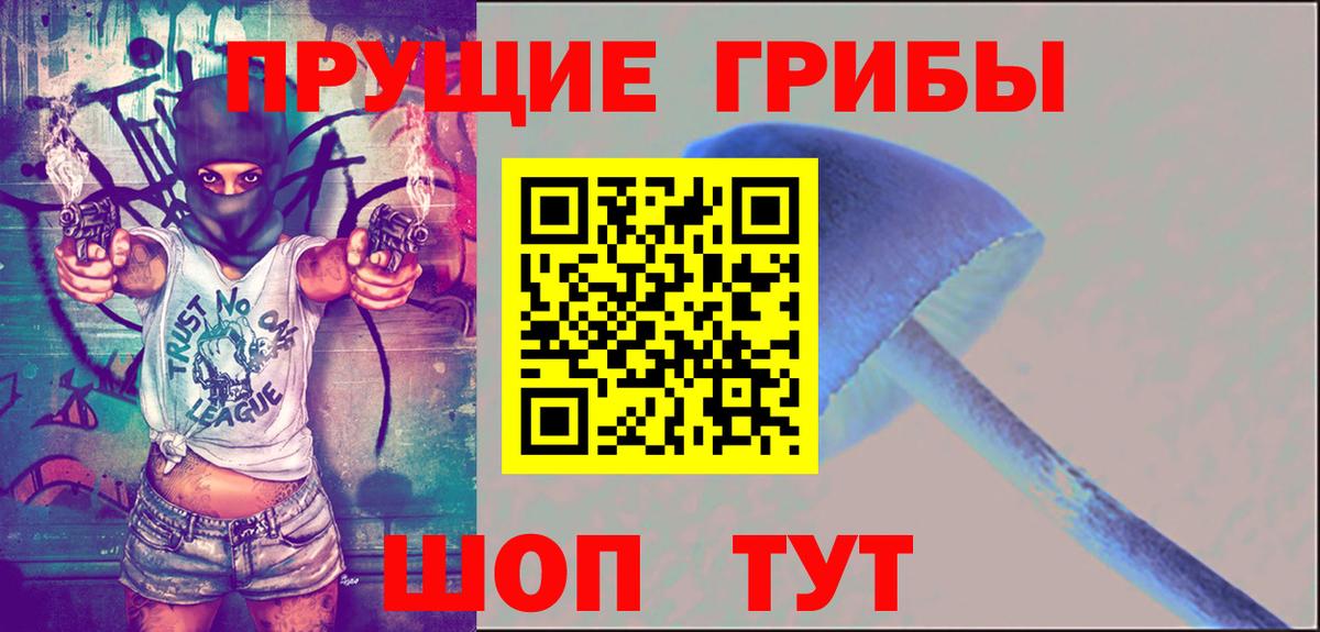 Галлюциногенные грибы прущие грибы Богородск