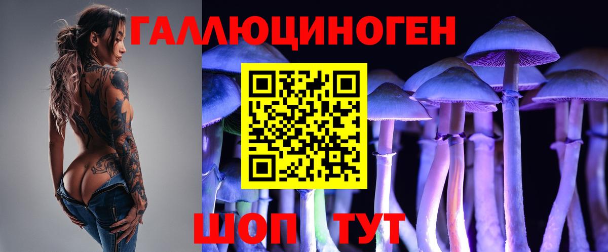 Псилоцибиновые грибы Magic Shrooms  Вход с VPN  Богородск  Галлюциногенные грибы Psilocybe 